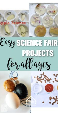 science fair projects for all ages