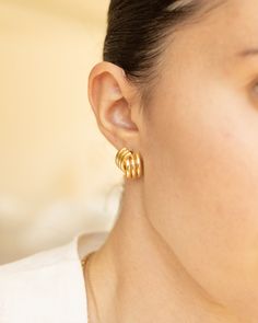 Add some flair to your outfit with our Charlotte Earrings. These chunky gold earrings will give you vintage inspired, statement-making style with old money vibes. Perfect for any occasion. Details: -Gold filled -Hypoallergenic, Waterproof, Tarnish Free Chic Gold Earrings, Gold Earrings Outfit, Old Money Earrings, Money Earrings, Chunky Gold Earrings, Family Pic, Jewelry Styles, Earrings Trendy