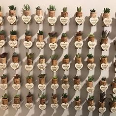 many small pots with plants in them are arranged on the wall and have heart shaped labels attached to them