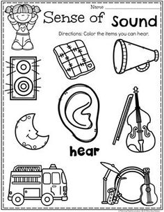 a coloring book with words and pictures on it that say sense of sound, hear