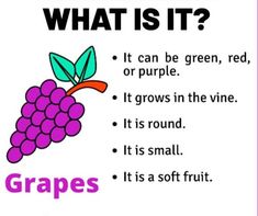 What is it? It's a grapes . easy reading about fruits for kindergarten and preschool Ground Hog Day Crafts, Journal Banner, Cycle For Kids, Parent Board, Ground Hog, Kitchen Safety, Bullet Journal Banner, Fruits For Kids