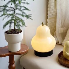 a small potted plant sitting on top of a table next to a lamp