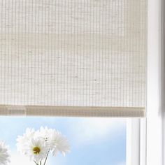 two white daisies in a vase on a window sill with the blinds closed