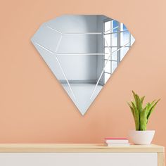 a mirror that is on the wall next to a potted plant