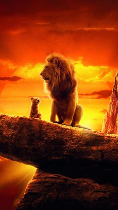 the lion king and cub are sitting on a log in front of an orange sunset