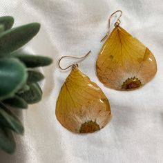 These stunning real flower earrings are handmade by myself with love and dedication. Every flower is carefully preserved in resin.  They make a perfect and special gift for a loved one, or for your wonderful self because we all deserve to feel beautiful. Free shipping worldwide! Purchase more than one pair for a free upgrade to express shipping!  -Each delicate flower is coated by hand with no moulds used, and the flowers are sourced locally and ethically.  -The flowers are all unique, as nature Real Flower Earrings, Feel Beautiful, Delicate Flower, Real Flowers, How To Feel Beautiful, Flower Earrings, Special Gift, Blue Flowers, Hippie Boho