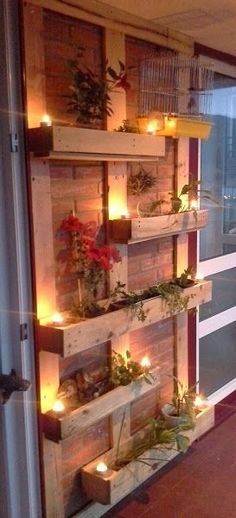 a room filled with lots of plants and lights on the windows sill next to a door