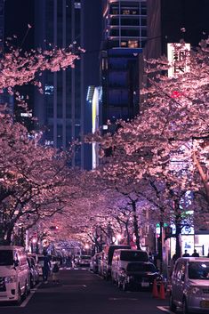 cars parked on the side of a street next to tall buildings and trees with pink flowers