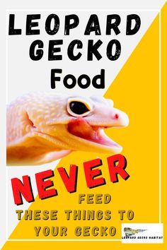 Leopard Gecko Food - Never feed these things to your gecko! Terrarium Ideas, Reptile Room