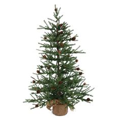 Introducing the Vickerman 42" Carmel Pine Tree, the perfect decorative tree for your holiday season! This miniature Christmas tree stands at 3.5 feet tall and is perfect for small spaces and tabletops. The unlit tree comes with 1241 PVC tips, creating a realistic appearance with pinecone accents. The tree is fixed in a decorative burlap base, adding a touch of rustic charm to your space. This easy assembly, compact and affordable Christmas tree is perfect for those who want a realistic and long-lasting tree. The Vickerman 42" Caramel Pine Artificial Christmas Tree with Pinecones is the perfect accent for any holiday décor. The unlit tree is made of Pinecone accented green PVC tips, providing a realistic appearance. Add your favorite lights to this unlit tree and watch it shine! Complement Vickerman Christmas Tree, Christmas Palm Tree, Christmas Tree Green, Pine Christmas Tree, Trees Christmas, Miniature Christmas Trees, Christmas Tree Stand, Small Christmas Trees, Diy Garland