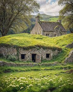 an old stone house in the middle of a field with grass growing on it's roof