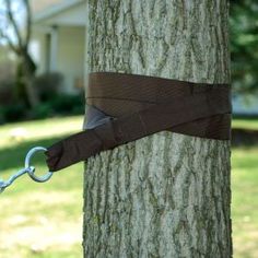 a tree with a brown ribbon tied to it's trunk and a house in the background