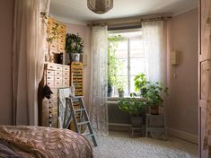 a bedroom with a bed, dresser and plant on the window sill in it