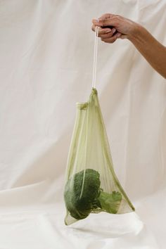 a person holding a green bag with broccoli in it on a white background