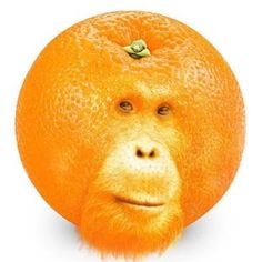 an orange with a monkey's head on it