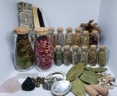 various spices and herbs are arranged in glass jars