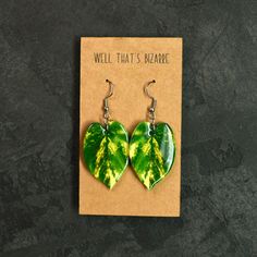 These cute lightweight earrings are a double sided design! Same design front and back. The leaf is about 1 in long and are made with polystyrene plastic and resin for a shiny durable finish. The earring hooks are made of nickel & lead free metal alloy. All earrings are handcrafted and may feature minor imperfections. However, I always strive to create a meticulously finished, polished product. Trendy Leaf-shaped Earrings For Gifts, Trendy Leaf-shaped Jewelry Gift, Plant Lover Gifts, Golden Pothos, Plant Jewelry, Meme Design, Plant Lover Gift, Lightweight Earrings, Earring Hooks