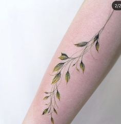 a woman's arm with a branch tattoo on it