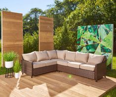 a couch sitting on top of a wooden floor next to a green wall and potted plant