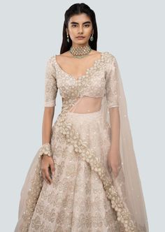 Champagne pastel tissue applique and heavy embellished raw silk kali lehenga with broad border, blouse and cutwork border net dupatta. Traditional Net Lehenga With Cutdana, Wedding Traditional Wear With Cutdana On Net, Designer Net Lehenga With Pallu, Designer Net Lehenga With Sheer Dupatta, Lehenga With Cutdana In Net With Traditional Drape, Designer Wear Lehenga With Pallu, Lehenga With Cutdana On Net In Traditional Drape, Traditional Drape Lehenga With Cutdana On Net, Bollywood Style Net Lehenga With Cutdana