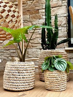 three woven baskets with plants in them on a table