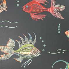 a black background with colorful fish and bubbles