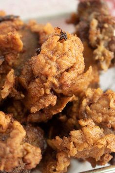 some fried food is on a white plate