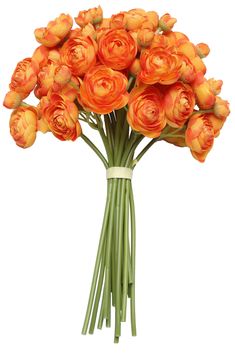 a bunch of orange flowers in a vase on a white background with clippings