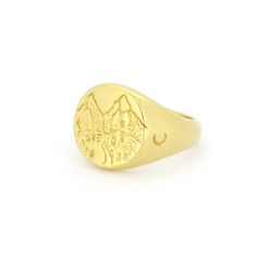 Night Wild Signet Ring 925 Sterling Silver | GOOD AFTER NINE School Projects, Signet Ring, Custom Rings, Gold Plating, Vintage Inspired, 18k Gold, Thailand, Gold Plate, Enamel Pins