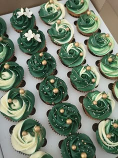 cupcakes with green and white frosting in a box