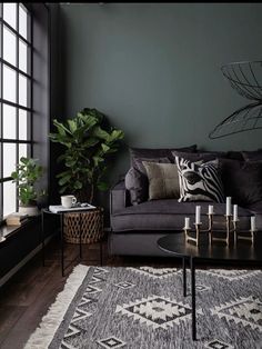 a living room with dark green walls and black furniture in the corner, surrounded by potted plants