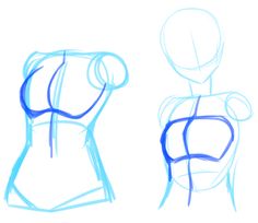 three different views of the torso and back of a woman's body, with blue lines