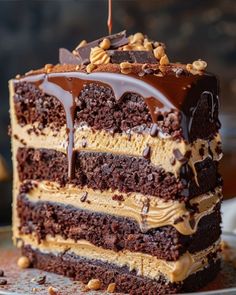 a piece of chocolate cake with nuts on top and drizzled in chocolate