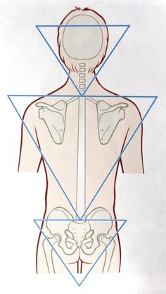 the back view of a man's torso with three triangles around it and an image of