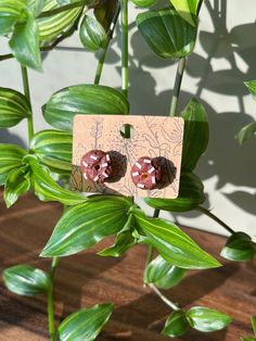 Perfect gift for any donut lover on your list. The donuts are made entirely with polymer clay. They are hand made with love by me 🍩😊 Donut Earrings, Chocolate Donut, Donuts Earrings, Chocolate Donuts, Made With Love, Jewelry Earrings Studs, Donuts, With Love, Etsy Earrings