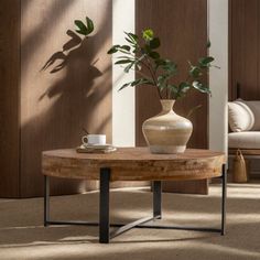 a table with a potted plant on it in front of a couch and chair