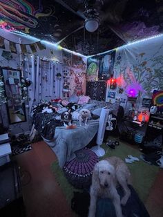 a dog is laying on the floor in a room with lots of clutter and decorations