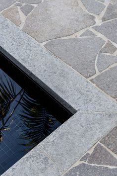 the reflection of a palm tree in a pool of water is seen from above it