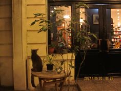 a cat is sitting on a table in front of a store