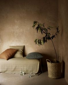 a bed sitting next to a plant in a room