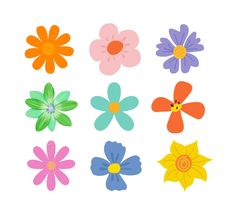 six different colored flowers on a white background