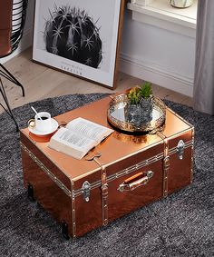 an open suitcase sitting on top of a carpeted floor next to a potted plant