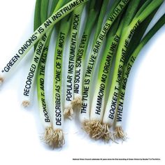 several green onions with words written on them