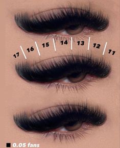 Did Curl Lashes, Dramatic Cat Eye Lash Extensions Map, Cat Eye Lash Map D Curl, Cat Eye Lashes Mapping, Cat Eye Hybrid Lash Extensions Map, Cat Eye Mapping Eyelash Extensions, Volume Cat Eye Lash Extensions Mapping, Lash Length Chart, Wispy Hybrid Lash Extensions Cat Eye