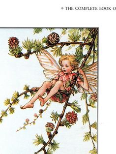 a fairy sitting on top of a tree branch