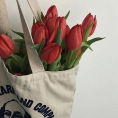 there is a bag with flowers in it