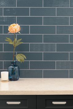 a vase with a flower in it sitting on a counter