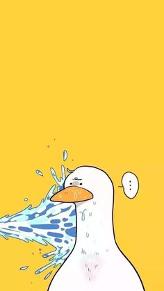 a white bird with an orange beak and blue water splashing on it's face