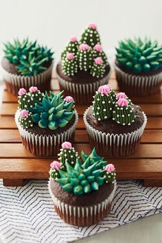 cupcakes decorated with chocolate frosting and cactus decorations on a wooden tray, ready to be eaten