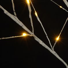 the lights are shining brightly in the dark night sky behind some white tree branches with no leaves